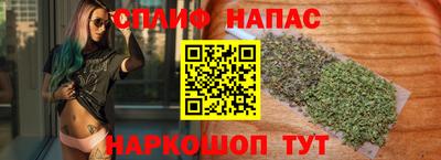 дмт Тверь