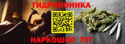 дмт Тверь