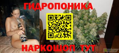 дмт Тверь