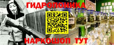 дмт Тверь