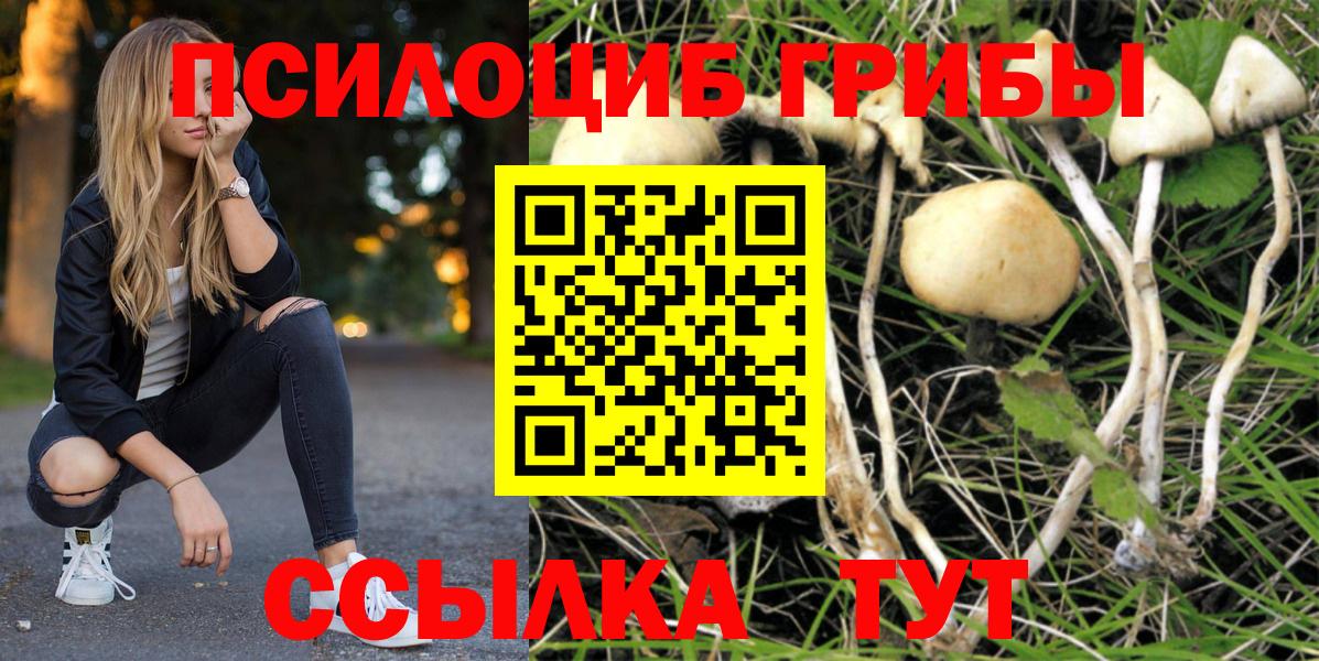 Псилоцибиновые грибы прущие грибы Ревда