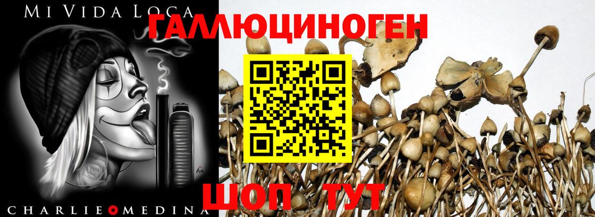 Псилоцибиновые грибы мицелий  Вход с VPN  хочу наркоту  Ревда  Псилоцибиновые грибы мухоморы 