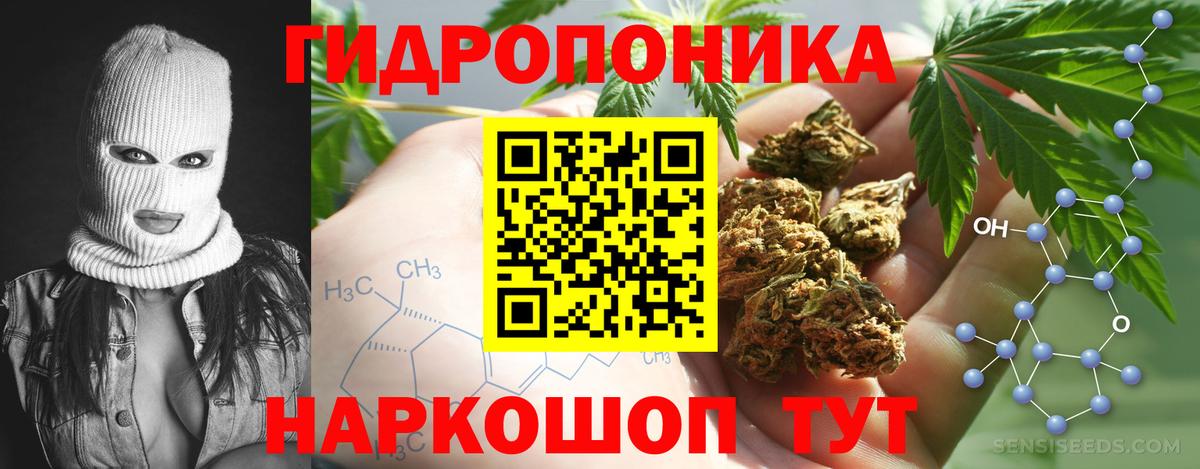 Шишки марихуана гибрид  Каннабис White Widow  Вход с VPN  МАРИХУАНА LSD WEED  Ревда 